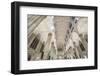 Interior View the St. Patrick's Cathedral, 5th Avenue, Manhattan, New York-Rainer Mirau-Framed Photographic Print
