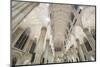 Interior View the St. Patrick's Cathedral, 5th Avenue, Manhattan, New York-Rainer Mirau-Mounted Photographic Print