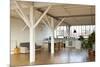 Interior Wide Loft, Beams and Wooden Floor-zveiger-Mounted Photographic Print