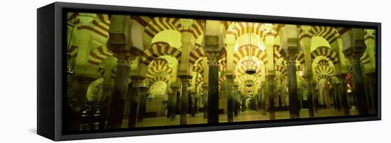 Interiors of a Cathedral, La Mezquita Cathedral, Cordoba, Cordoba Province, Spain-null-Framed Stretched Canvas