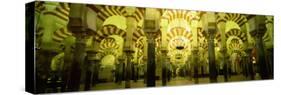 Interiors of a Cathedral, La Mezquita Cathedral, Cordoba, Cordoba Province, Spain-null-Stretched Canvas