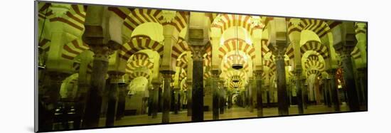 Interiors of a Cathedral, La Mezquita Cathedral, Cordoba, Cordoba Province, Spain-null-Mounted Photographic Print