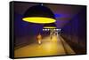 Interiors of an Underground Station, Westfriedhof, Munich U-Bahn, Munich, Bavaria, Germany-null-Framed Stretched Canvas