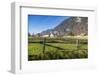 Interlaken, Jungfrau region, Bernese Oberland, Swiss Alps, Switzerland, Europe-Frank Fell-Framed Photographic Print