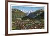 Interlaken, Switzerland, 20th Century-null-Framed Giclee Print