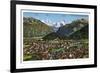 Interlaken, Switzerland, 20th Century-null-Framed Giclee Print