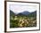 Interlaken, Switzerland-Simon Harris-Framed Photographic Print