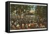 Interlochen Bowl, Traverse City, Michigan-null-Framed Stretched Canvas