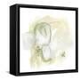 Intermezzo II-June Vess-Framed Stretched Canvas