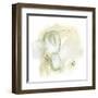 Intermezzo II-June Vess-Framed Art Print