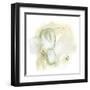 Intermezzo II-June Vess-Framed Art Print