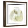 Intermezzo III-June Vess-Framed Art Print