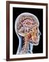 Internal Brain Anatomy, Artwork-PASIEKA-Framed Photographic Print