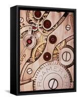 Internal Cogs And Gears of a 17-jewel Swiss Watch-David Parker-Framed Stretched Canvas