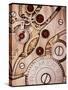 Internal Cogs And Gears of a 17-jewel Swiss Watch-David Parker-Stretched Canvas