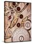 Internal Cogs And Gears of a 17-jewel Swiss Watch-David Parker-Stretched Canvas