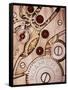 Internal Cogs And Gears of a 17-jewel Swiss Watch-David Parker-Framed Stretched Canvas