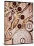 Internal Cogs And Gears of a 17-jewel Swiss Watch-David Parker-Stretched Canvas