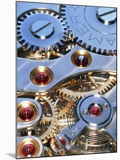 Internal Cogs And Gears of a 17-jewel Swiss Watch-David Parker-Mounted Premium Photographic Print