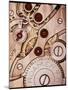 Internal Cogs And Gears of a 17-jewel Swiss Watch-David Parker-Mounted Photographic Print