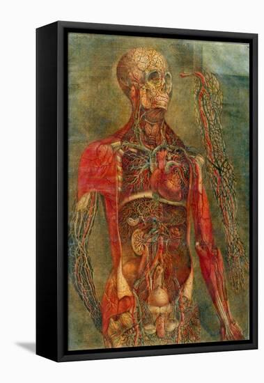 Internal Organs of the Body, Anatomy of the Visceras Dissected, Painted and Engraved Gautier, 1745-Jacques Fabien Gautier d'Agoty-Framed Stretched Canvas