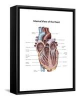 Internal View of the Human Heart-null-Framed Stretched Canvas