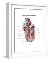 Internal View of the Human Heart-null-Framed Art Print