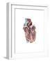 Internal View of the Human Heart-null-Framed Art Print