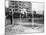 International Athletics Championship in Berlin on September 18, 1910: High Jump-null-Mounted Photographic Print