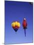 International Balloon Festival Albuquerque, New Mexico, USA-null-Mounted Photographic Print