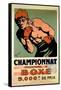 International Boxing Championship-null-Framed Stretched Canvas