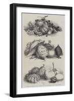 International Exhibition of Fruits, Vegetables, Etc, in the Horticultural Society's Gardens-null-Framed Giclee Print