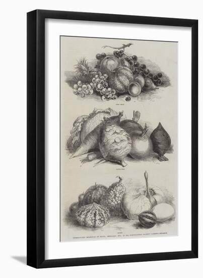 International Exhibition of Fruits, Vegetables, Etc, in the Horticultural Society's Gardens-null-Framed Giclee Print