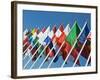 International Flags-Nico Tondini-Framed Photographic Print