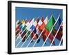 International Flags-Nico Tondini-Framed Photographic Print