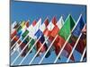 International Flags-Nico Tondini-Mounted Photographic Print