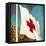 International Red Cross Flag-English School-Framed Stretched Canvas