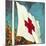 International Red Cross Flag-English School-Mounted Giclee Print