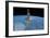 International Space Station Planet Earth 2011 Photo Poster-null-Framed Poster