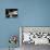 International Space Station-Stocktrek Images-Photographic Print displayed on a wall