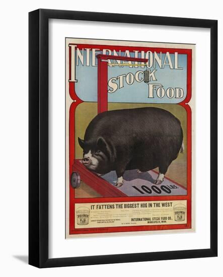 International Stock Food Advertising Poster-null-Framed Giclee Print