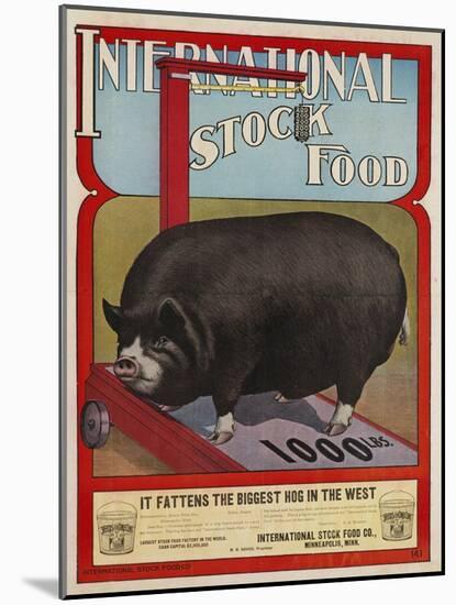 International Stock Food Advertising Poster-null-Mounted Giclee Print