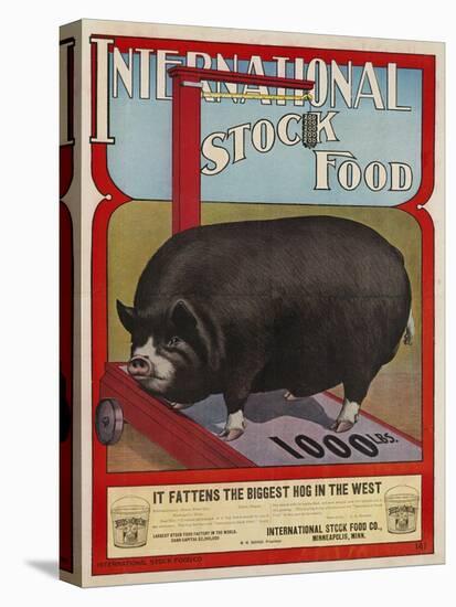 International Stock Food Advertising Poster-null-Stretched Canvas