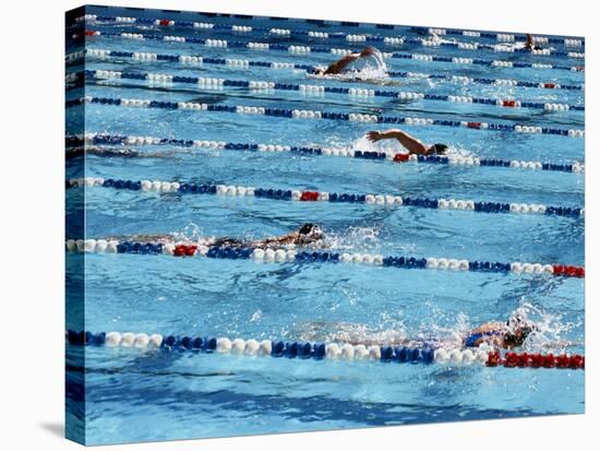 International Swimming Hall of Fame Fort Lauderdale, Florida, USA-null-Stretched Canvas