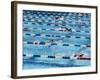 International Swimming Hall of Fame Fort Lauderdale, Florida, USA-null-Framed Photographic Print