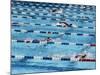 International Swimming Hall of Fame Fort Lauderdale, Florida, USA-null-Mounted Photographic Print