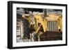 International Tractor-Brenda Petrella Photography LLC-Framed Giclee Print