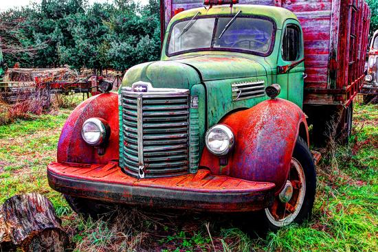 Premium Photographic Print, , large