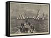 International Yacht-Race from Havre-null-Framed Stretched Canvas