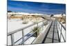 Interpretive Boardwalk, White Sands National Monument, New Mexico, Usa-Russ Bishop-Mounted Photographic Print